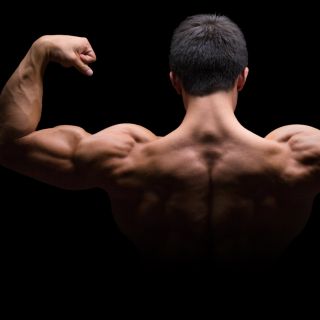 Forza e crescita muscolare
